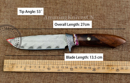Rare Handforged Damascus Steel Ironwood Straight Hunting Outdoor Knife with Sheath- AK-HT0652-U