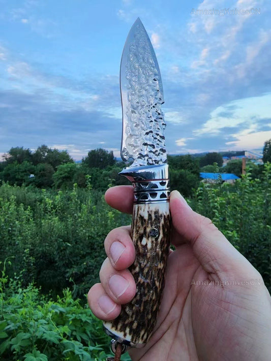 VG10 Damascus Survival knife Bowie Knife Hunting Knife Fixed Blade Stag Antler Sheath - AK-HT0915