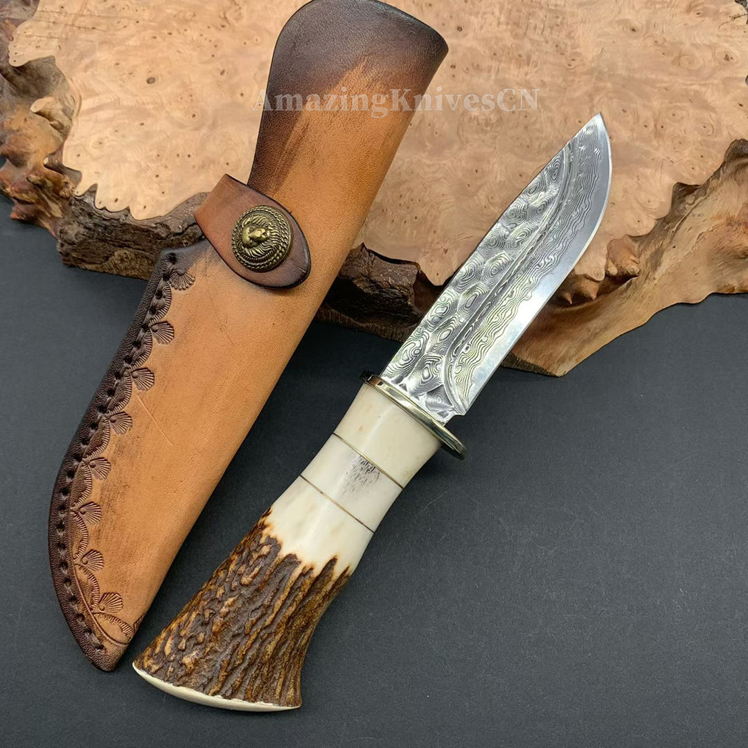 Collectible Vg10 Damascus Hunting Knife Fixed Blade Horn Stag Handle Camping w/ Sheath - AK-HT0331