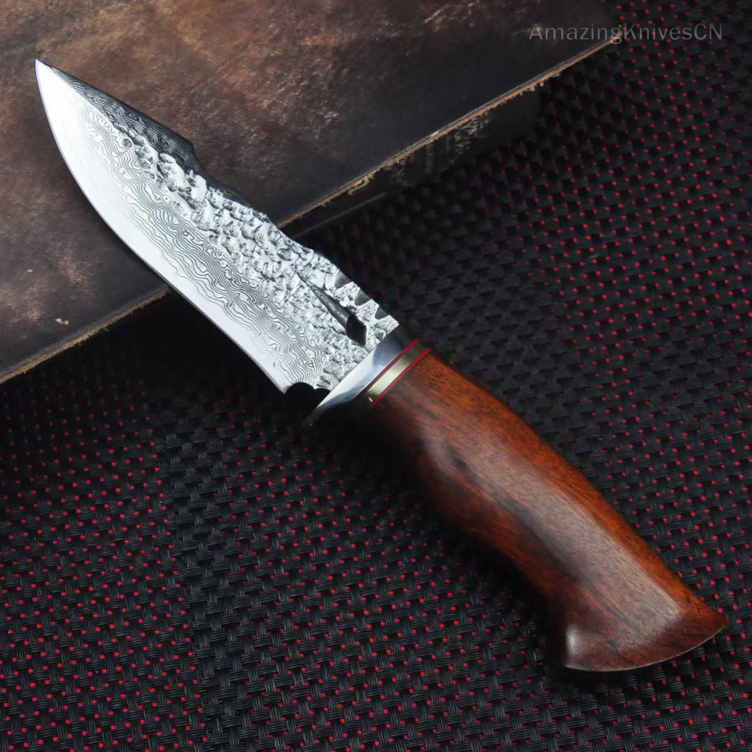 Collectible Vg10 Damascus Hunting Knife Fixed Blade Desert Ironwood Handle w/ Sheath - AK-HT0900