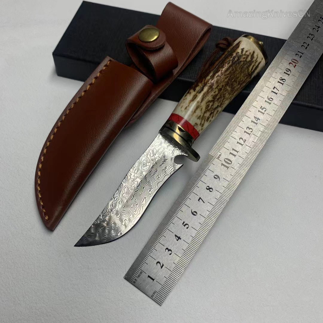 Damascus Hunting Knife Survival Knife Fixed Blade Bowie Stag Horn Handle- AK-HT0947