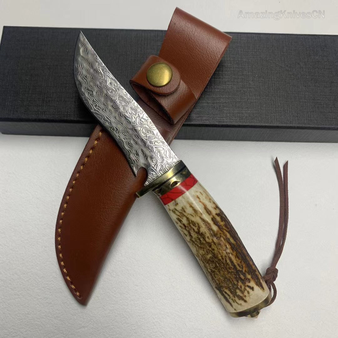 Damascus Hunting Knife Survival Knife Fixed Blade Bowie Stag Horn Handle- AK-HT0947