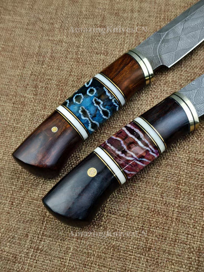 Top Tier Collectible Knife Luxury Handforged Damacus Steel Fixed Blade Knife with Leather Sheath - AK-HT1001
