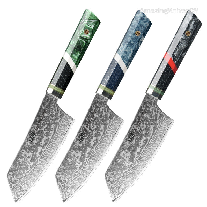 67-Layer Damascus Steel Kithcen Knife with Leather Case Amazing Quality - AK-DS0937