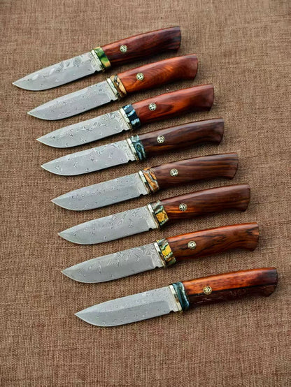 VG10 Damascus Fixed Blade Knife – Rosewood & Mammoth Molar Fossil Handle - AK-HT1051