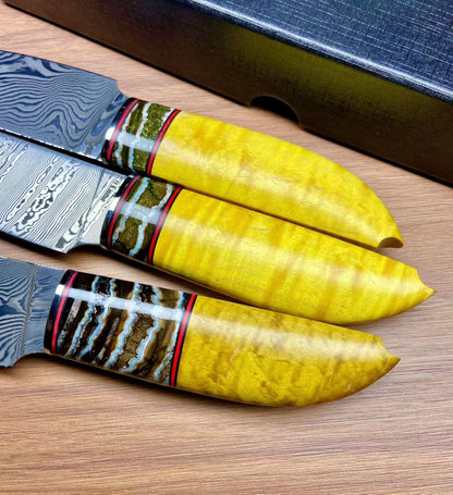 Handmade Damascus Steak Knife – Mammoth Molar Fossil Handle - AK-DC1068