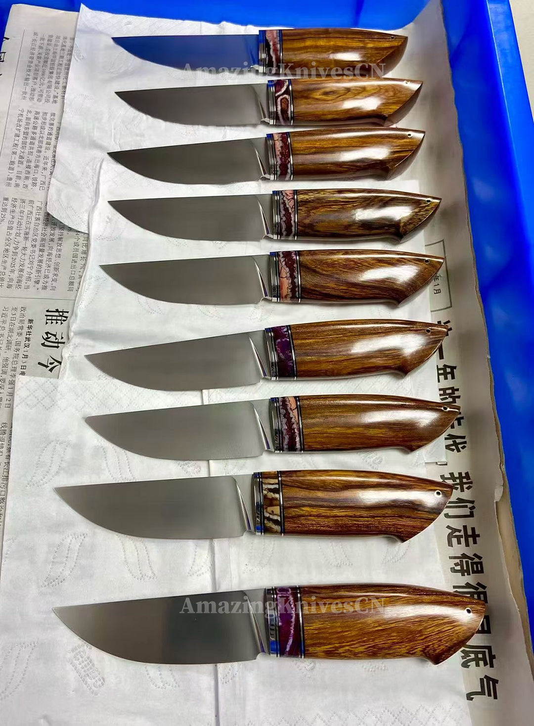 Premium M390 Blade Fixed Blade Knife Mammoth Molar Fossil Desert Irondwood Handle - AK-HT1030