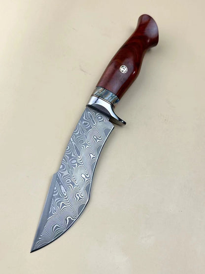 Handmade VG10 Damascus Hunting Knife Fixed Blade Rescue Survival Gear Tactical Bowie - AK-HT0516-B