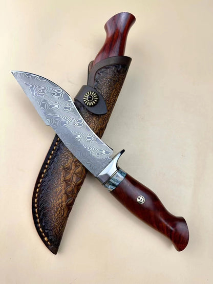 Handmade VG10 Damascus Hunting Knife Fixed Blade Rescue Survival Gear Tactical Bowie - AK-HT0516-B