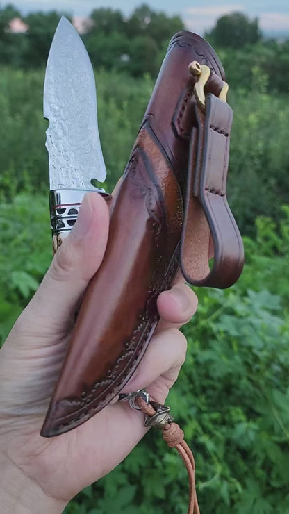 VG10 Damascus Survival knife Bowie Knife Hunting Knife Fixed Blade Stag Antler Sheath - AK-HT0915