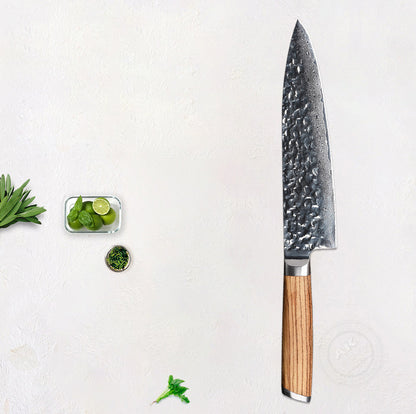 67 Layers VG10 Damascus Chef's Knife Kitchen Knives - AK-DC0205