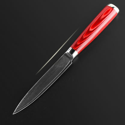 Japanese 67-Layer Damascus Kithcen Knife Set VG10 Steel Amazing Quality