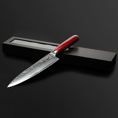 8'' Chef Knife 67 layers Japanese VG10 Damascus Steel Kitchen Knives Guyto Knife - AK-DC0119